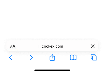 Visit the official Crickex casino website